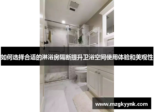 如何选择合适的淋浴房隔断提升卫浴空间使用体验和美观性
