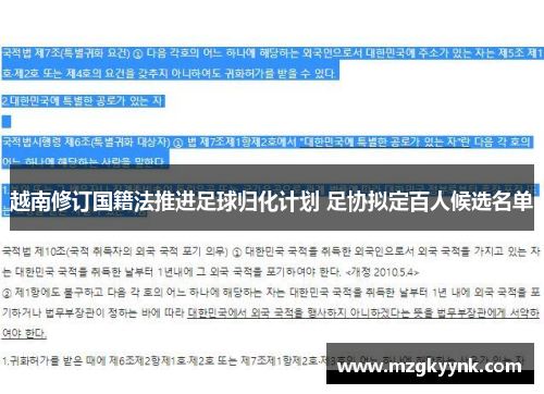 越南修订国籍法推进足球归化计划 足协拟定百人候选名单