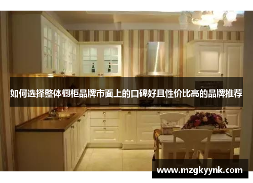如何选择整体橱柜品牌市面上的口碑好且性价比高的品牌推荐
