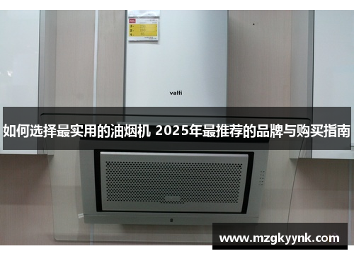如何选择最实用的油烟机 2025年最推荐的品牌与购买指南