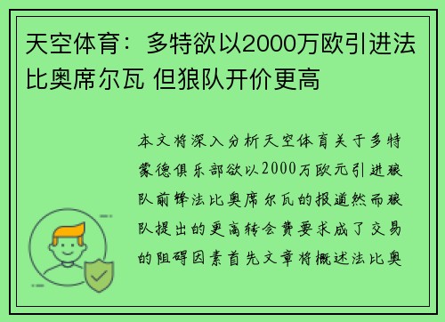 天空体育：多特欲以2000万欧引进法比奥席尔瓦 但狼队开价更高
