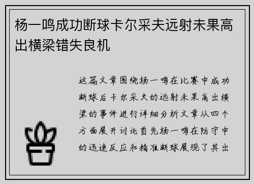 杨一鸣成功断球卡尔采夫远射未果高出横梁错失良机