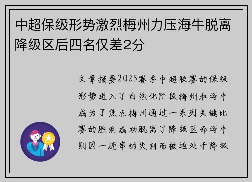 中超保级形势激烈梅州力压海牛脱离降级区后四名仅差2分 中超保级形势激烈梅州力压海牛脱离降级区后四名仅差2分